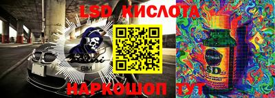 СК Краснодар