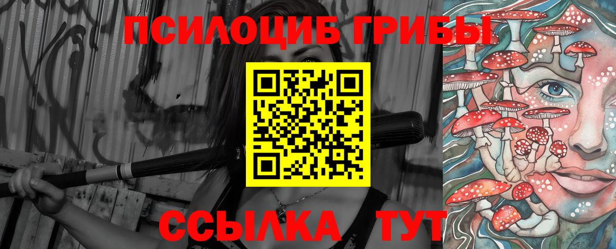 Псилоцибиновые грибы Psilocybe  Псилоцибиновые грибы MAGIC MUSHROOMS  Конаково  Вход с VPN 