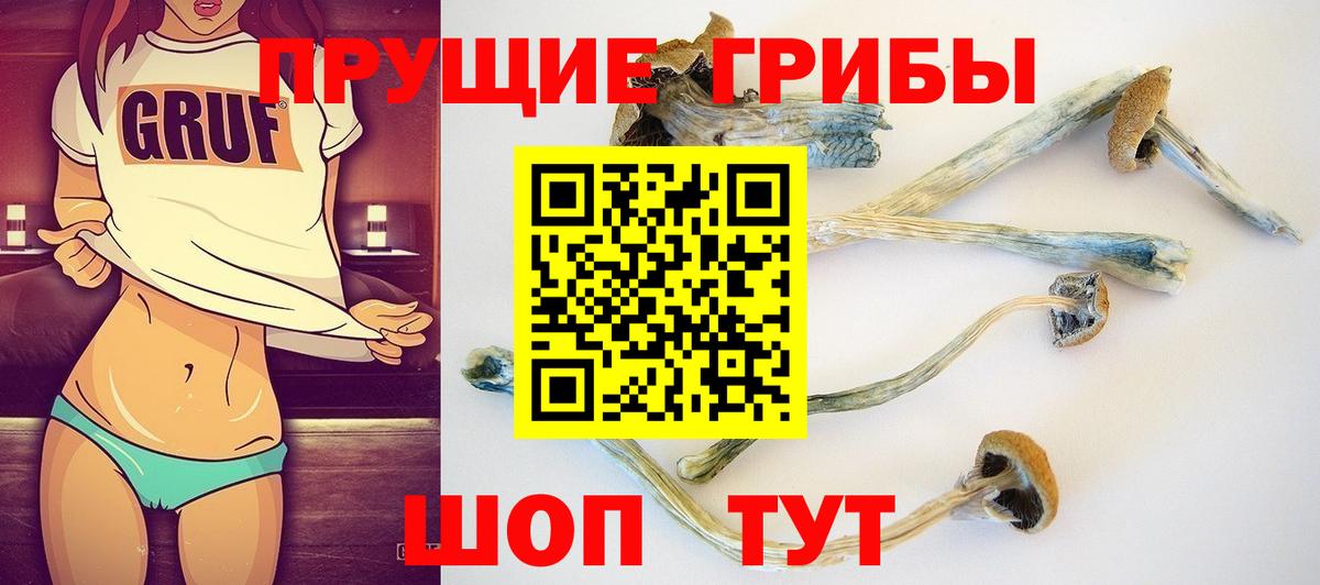 Галлюциногенные грибы мухоморы Конаково
